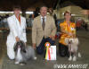 Oliver and Kitty with 2x CACIB, CQ, Belgian winner + BOB. Many thanks to judge Mr. Rui Oliveira (PT)!!!