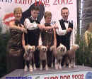 Eurodogshow FCI Paříž 2002 - ch.s. Modrý květ ve zlatém! Druhé neopakovatelné vítězství! 