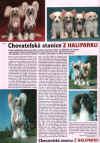 Ch.s. z Haliparku - Chinese Crested Dogs !!! Breeder: Libuše Brychtová, Czech republic